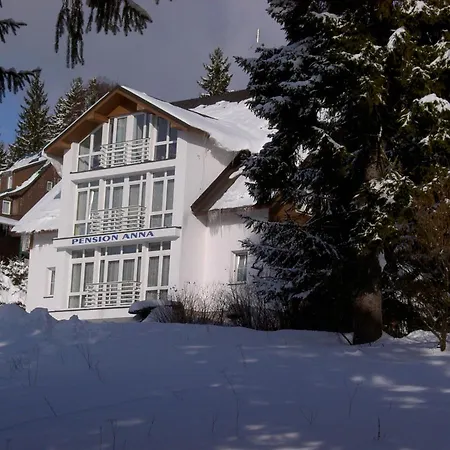Anna Guest house